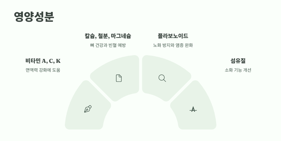 개망초 나물 모든 것 3