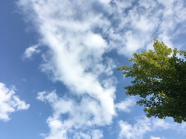 다음 주 서울에서 볼 수 있는 날씨 모습