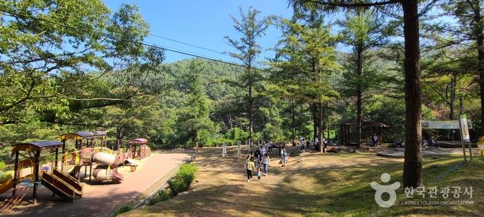 대전근교 주말나들이 계족산 황톳길