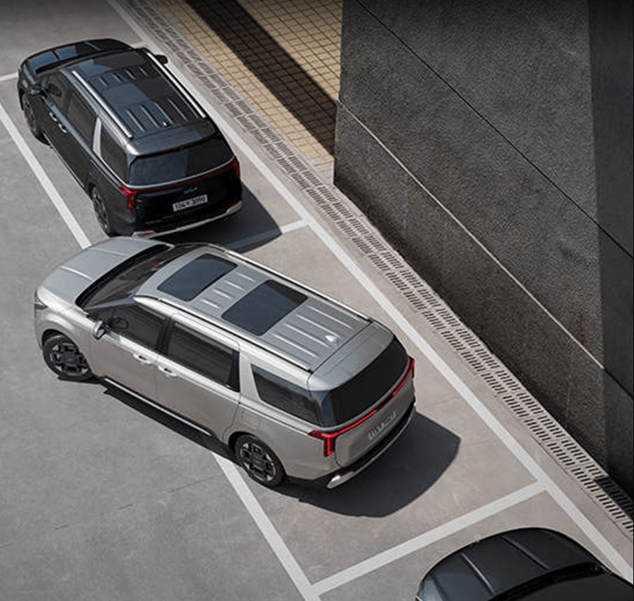 카니발 하이브리드