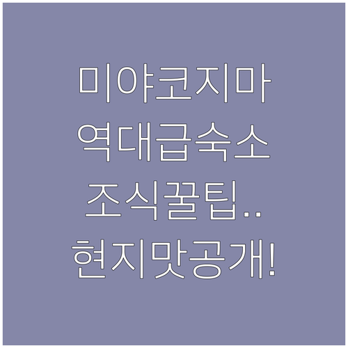 미야코지마 여행 숙소 추천 브리즈베이..