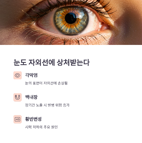 여름 햇빛이 피부와 건강에 미치는 영향과 현명한 대처법