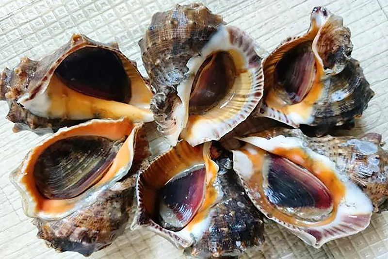소라