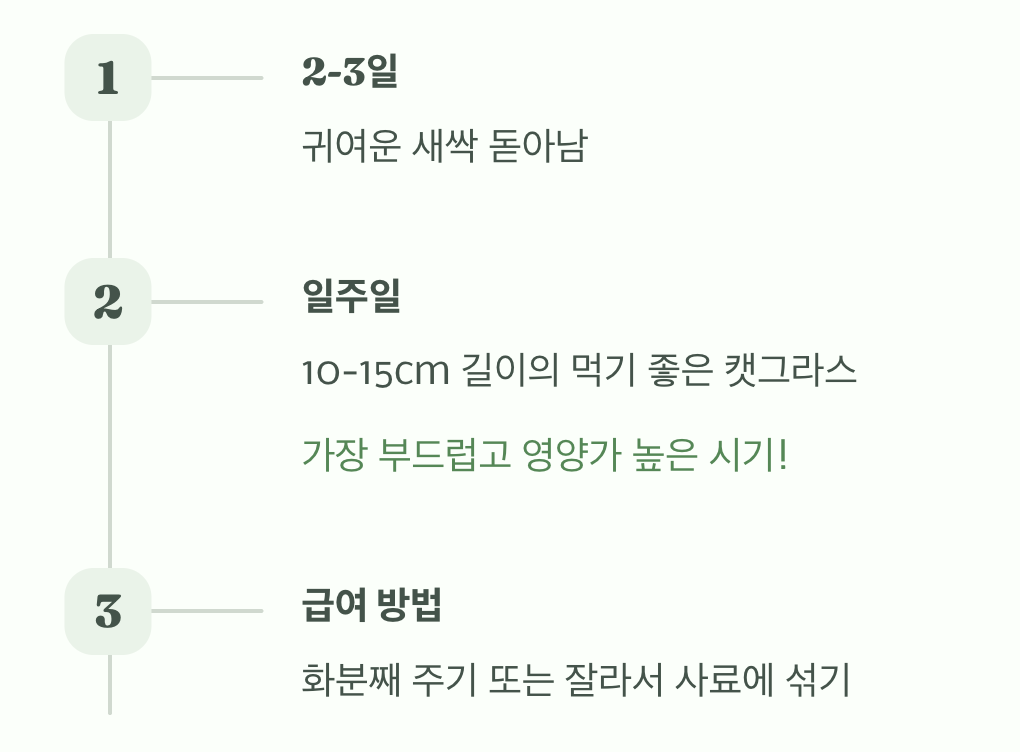 가장 맛있는 순간! (수확과 급여)