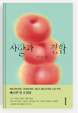 예소연작가의 '사랑과 결함' 책표지.