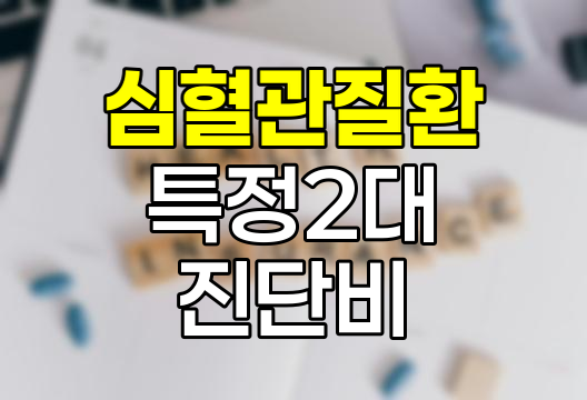 현대해상 심혈관질환 특정 2대 진단비 특징