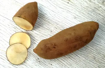 야콘 효능 및 영양성분&amp;#44; 먹는 방법