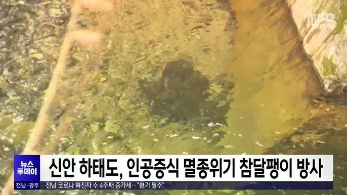 하태도 배편 시간표 예매 요금 숙박_4