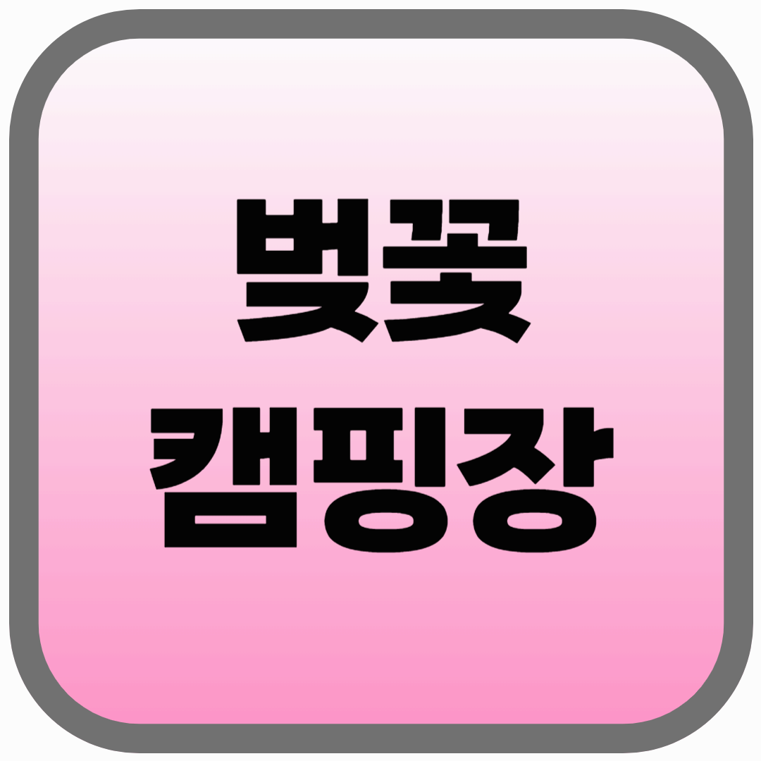 벚꽃 캠핑 명소 BEST 10! 전국 완벽 정리