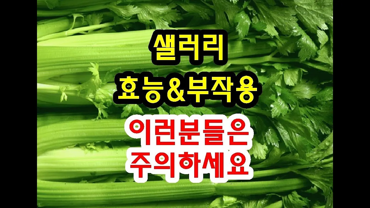 샐러리 효능 알고 먹는법 잎 생으로 손질법 요리_5