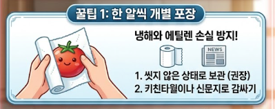 토마토 보관방법