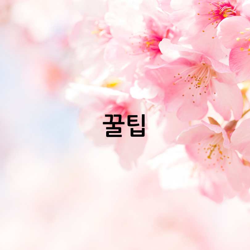 2025년 경주 대릉원돌담길 벚꽃축제 