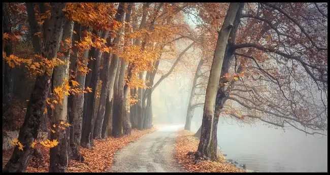 내장산 케이블카 예약방법, 요금, 주차장 정보 (+ 산행코스 )