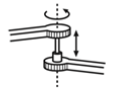 Cylindrical (C)