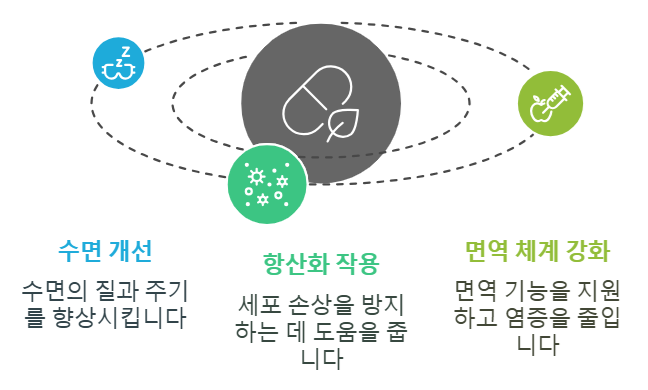 식물성 멜라토닌 이점