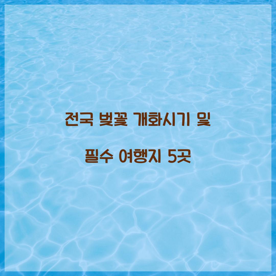 전국 벚꽃 개화시기