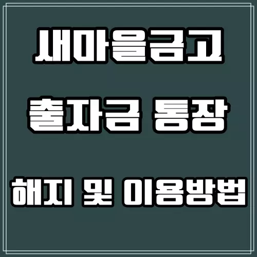 새마을금고 출자금 통장