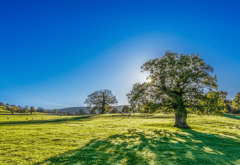 기분 좋은 인사말