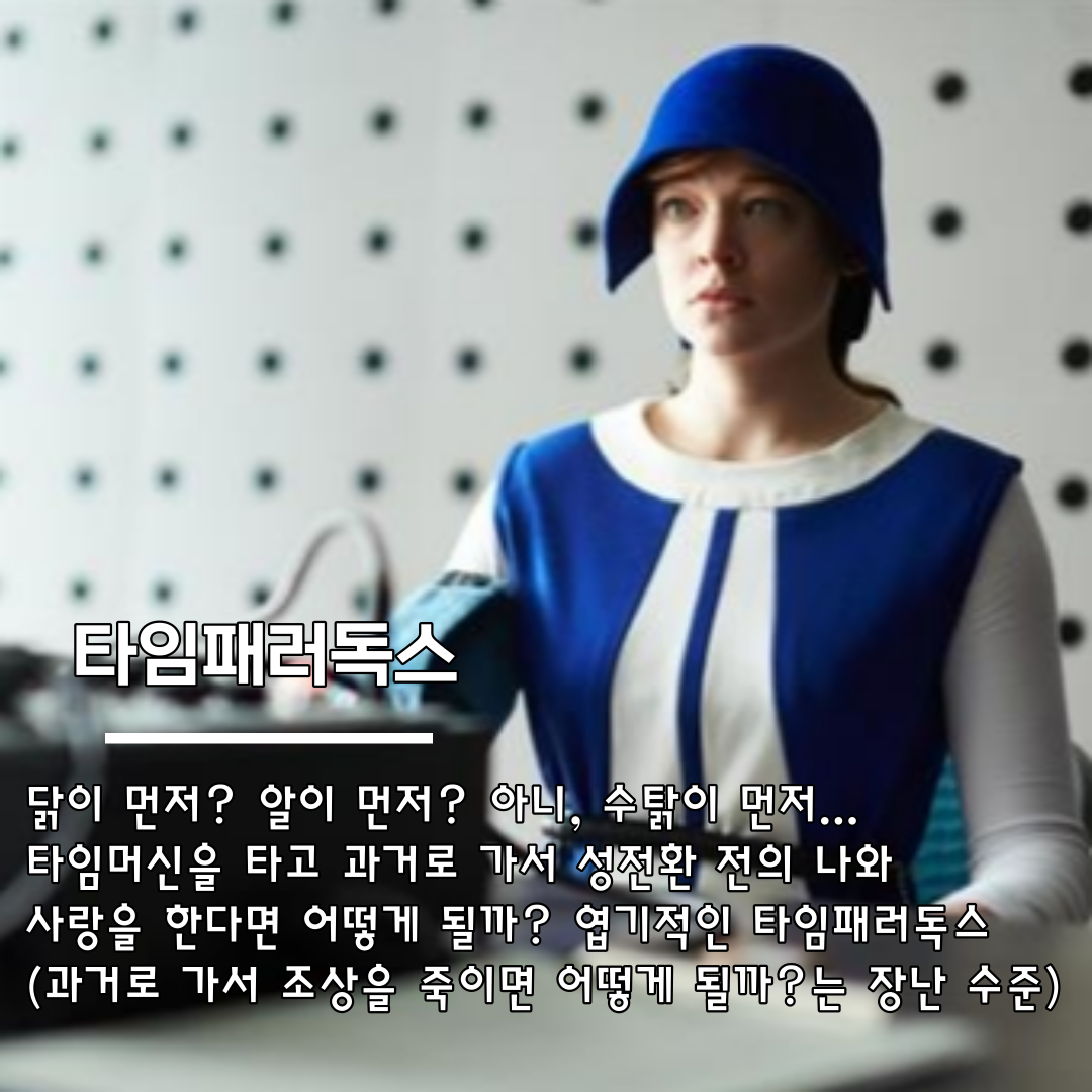 영화-타임패러독스