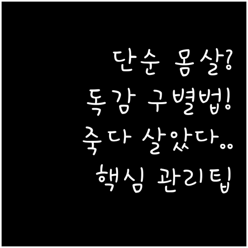 효과적인 몸살 관리와 독감 구별법 및..