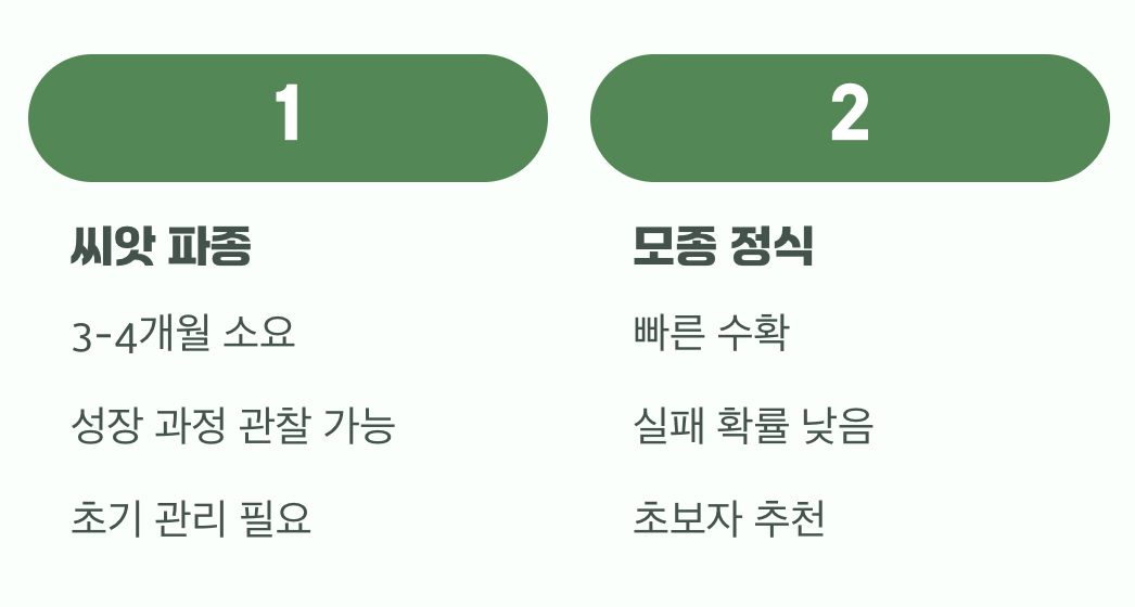 씨앗이냐, 모종이냐 그것이 문제로다