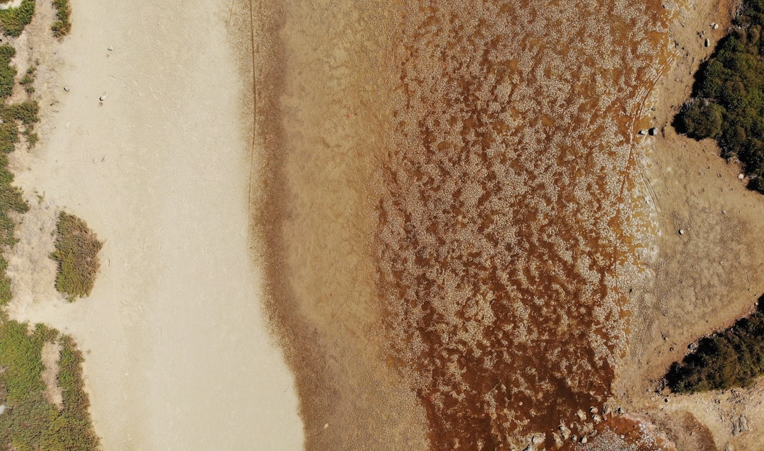 Dryness