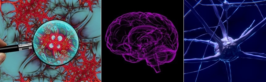 다발성 경화증 증상