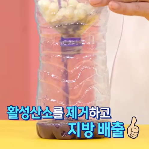 모로실 효능