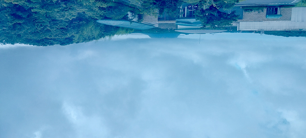 너를 향한 나의 시선