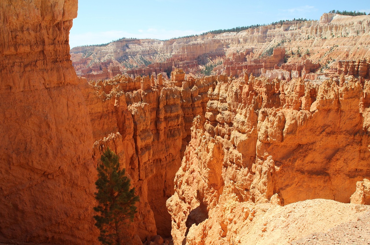 미국, 캐년, 자연 이미지.