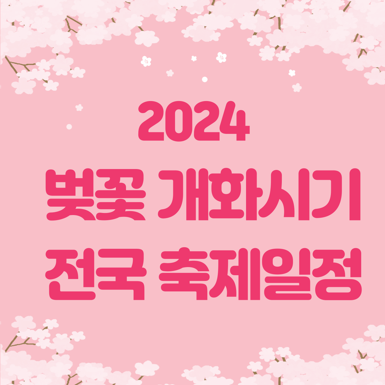 2024 벚꽃 개화시기