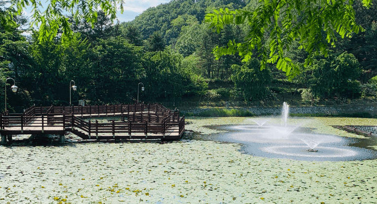 청남대 연못
