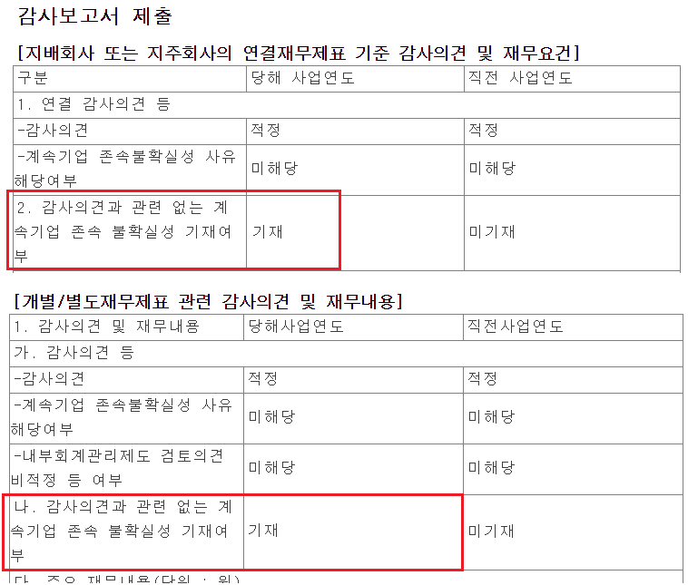 감사보고서