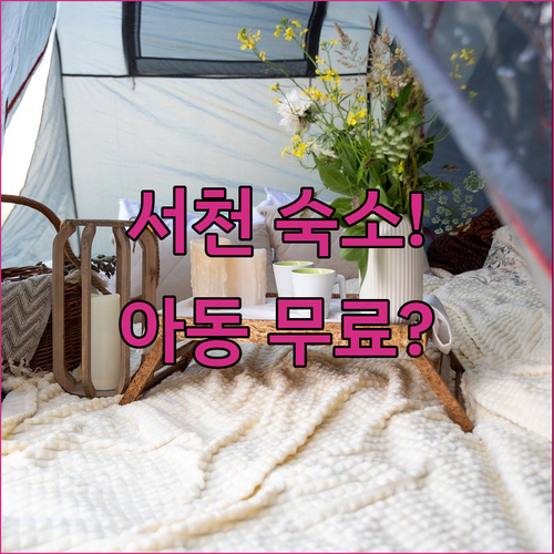충남 서천 여행 숙소 추천 가족 여행..