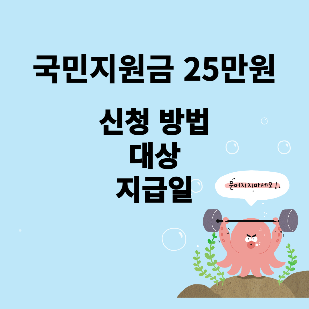 국민지원금 25만원