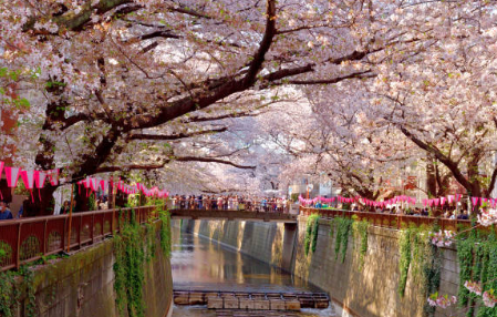 2026 진해군항제