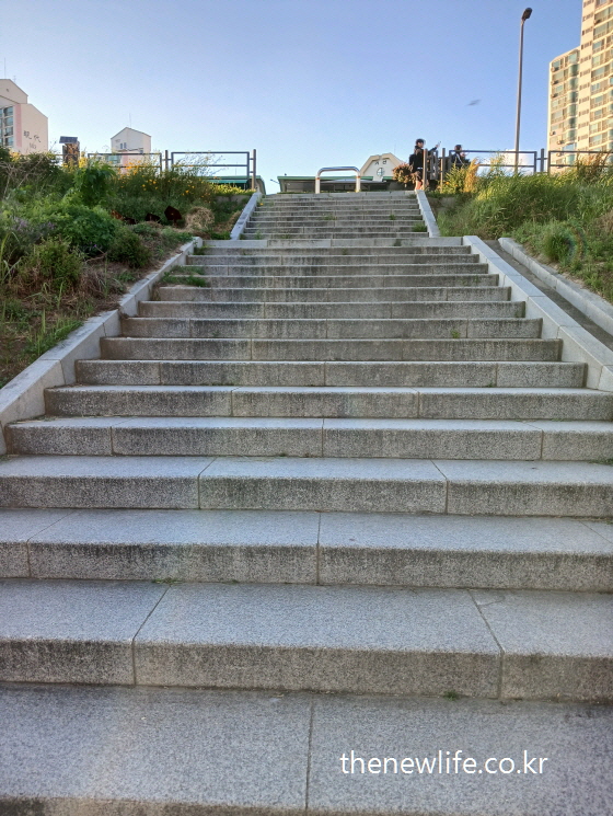 &ldquo;Concrete park stairs in a local neighborhood under daylight&rdquo;-&ldquo;생활권 공원 입구의 콘크리트 계단 모습&rdquo;