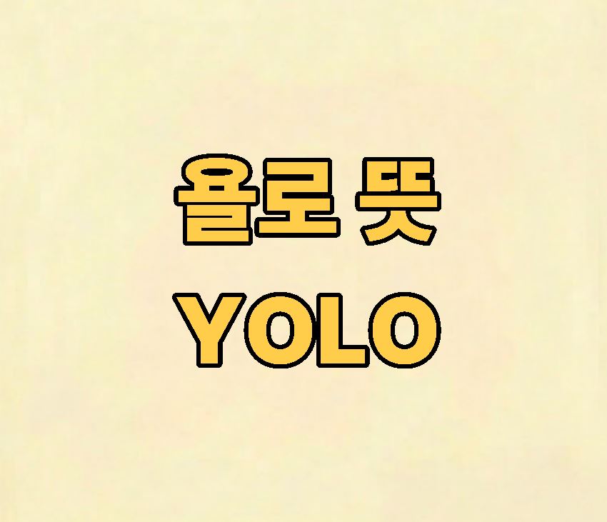 욜로 뜻 YOLO