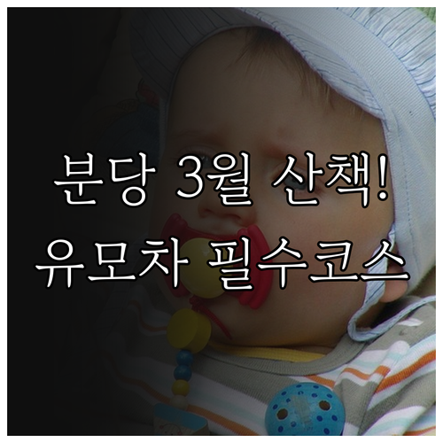 성남 분당구 3월 공원 산책 코스와 ..