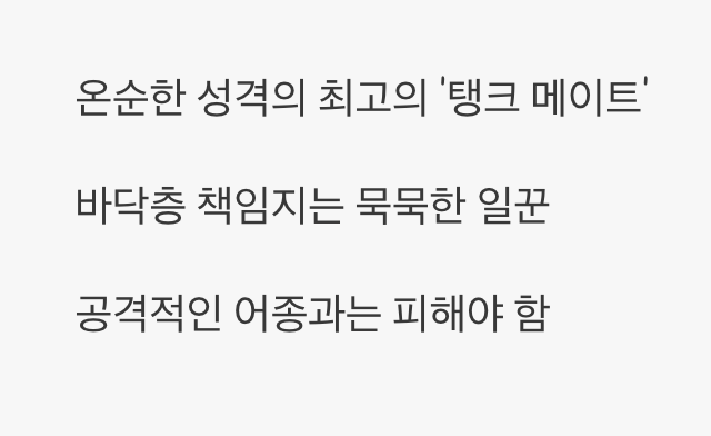 합사 - 평화를 사랑하는 &amp;#39;순둥이&amp;#39;