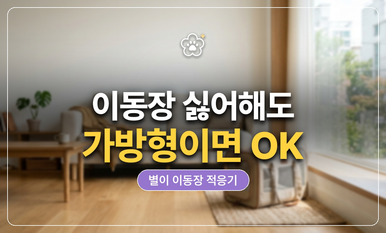 고양이 이동장 가방형 후기