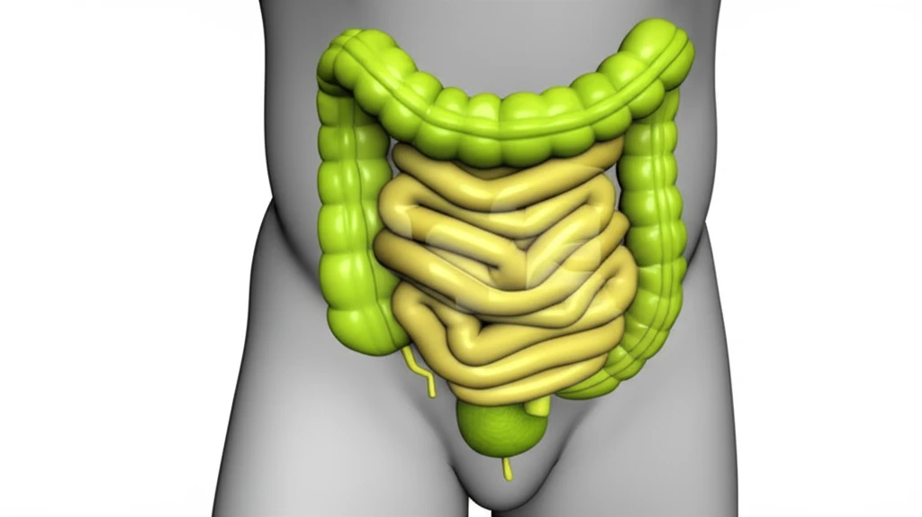 클로스트리디움 퍼프리젠스 식중독: 증..