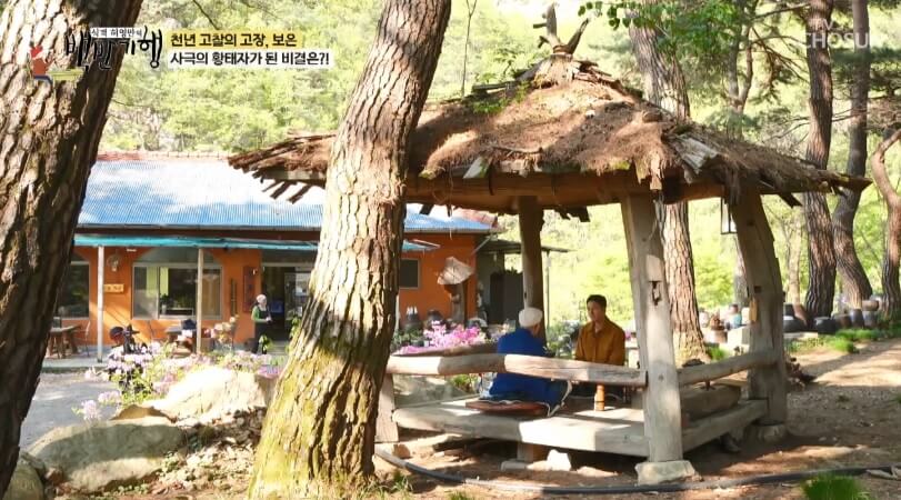 식객 허영만의 백반기행 299회 정일우의 보은 밥상 충북 보은 자연산 버섯전골 맛집 구병산골가든