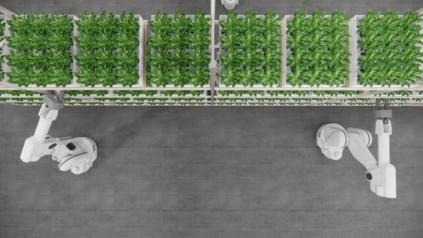 AI 기반의 도시농업: 환경 변화에 적응하는 지능형 재배