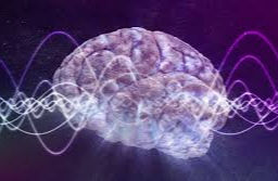 뇌 건강 영양제 기억력 이상 신호 늦기 전에 알아야할 것