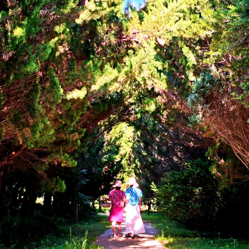 특색있고 아름다운 민간 정원 30선 추천 여행 - 30. 구례 천개의 향나무숲 정원