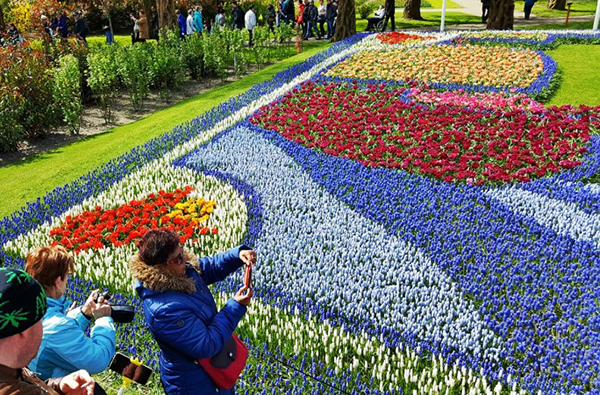 2025 캐나다 오타와 튤립축제