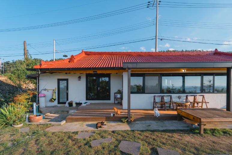 선바우집 모습