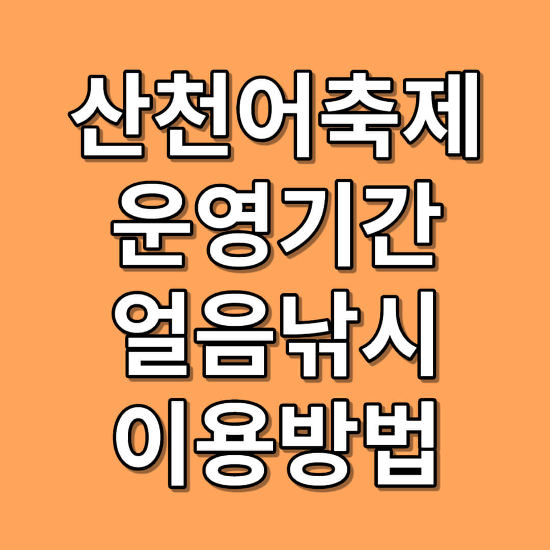 2024년 화천 산천어축제