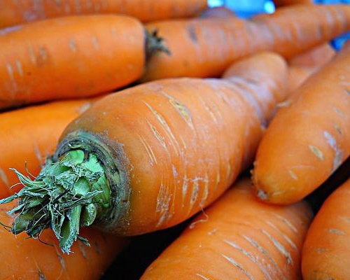 당근 베타카로틴 콜레스테롤 수치 낮추는 음식